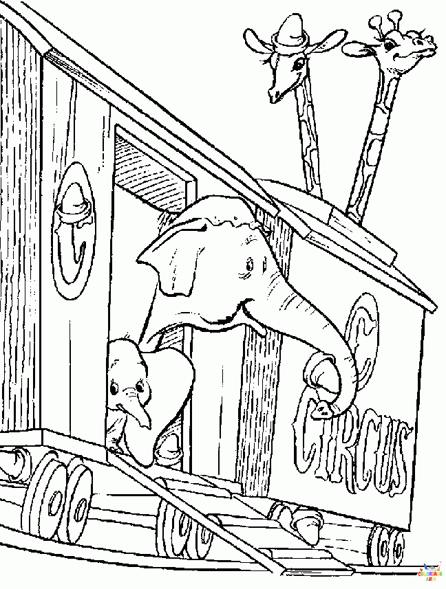 Dumbo 13