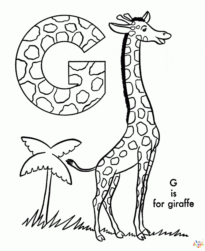 Girafe 25
