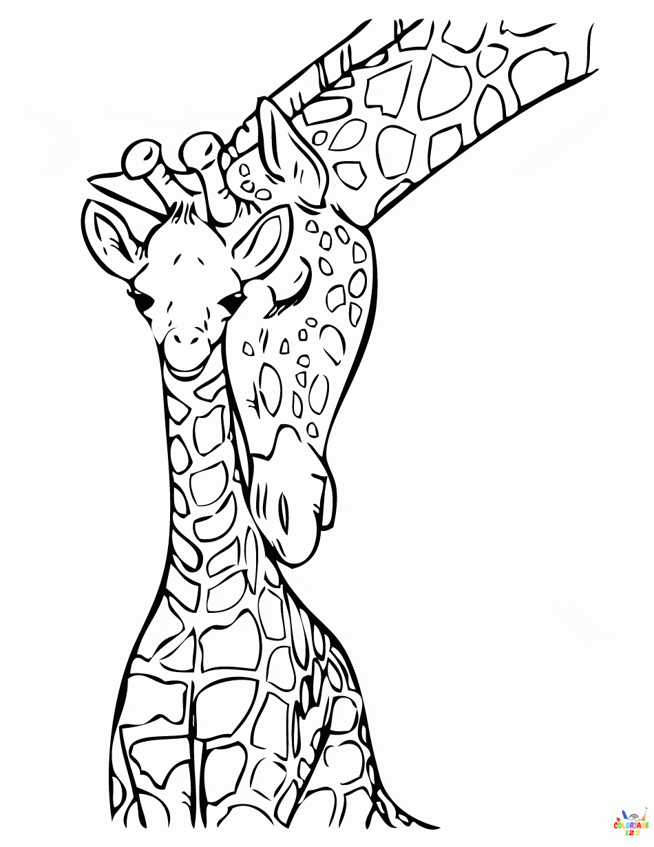 Girafe 23
