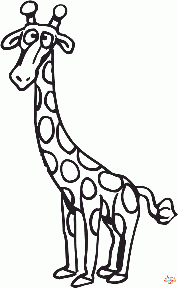 Girafe 22