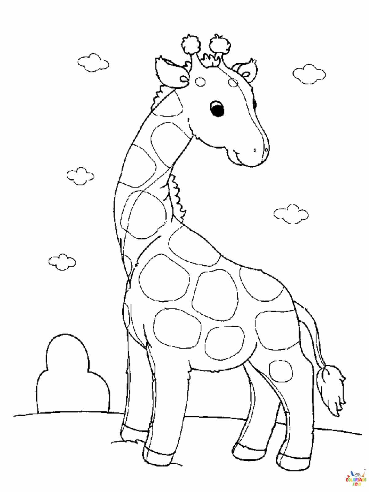 Girafe 20