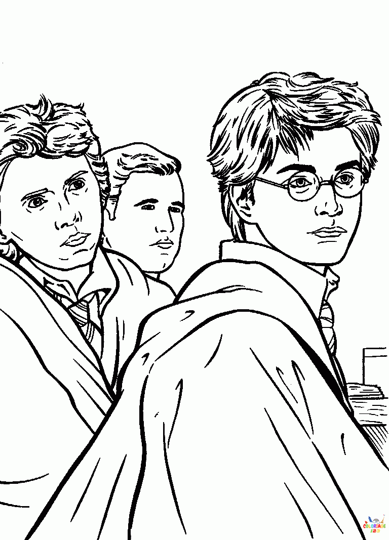 Harry Potter 18