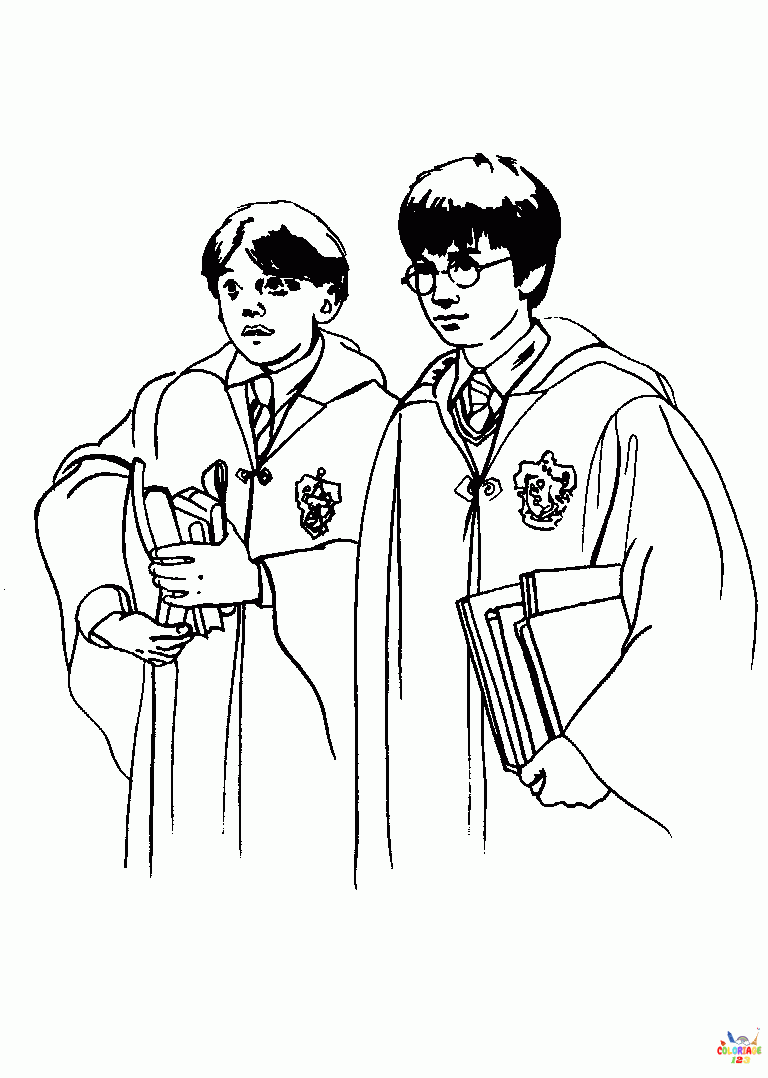Harry Potter 15