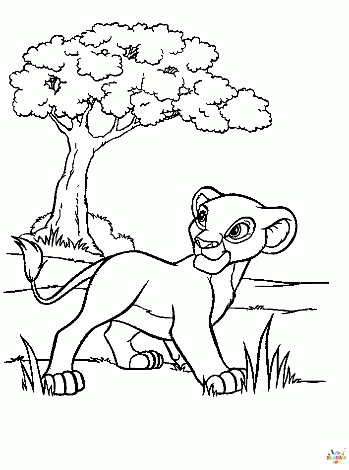 Lion 35