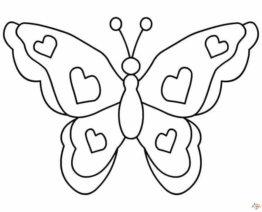 Papillon 23