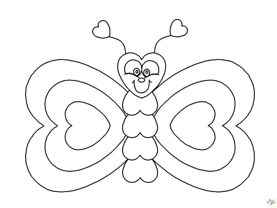 Papillon 24