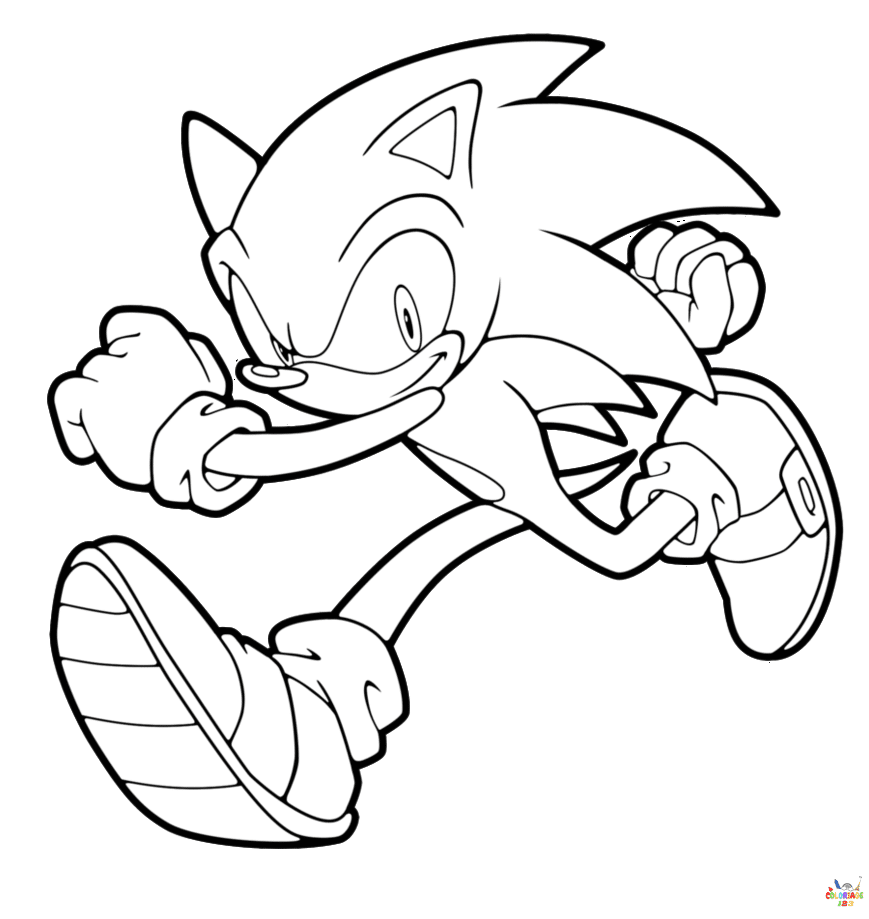 Sonic 14