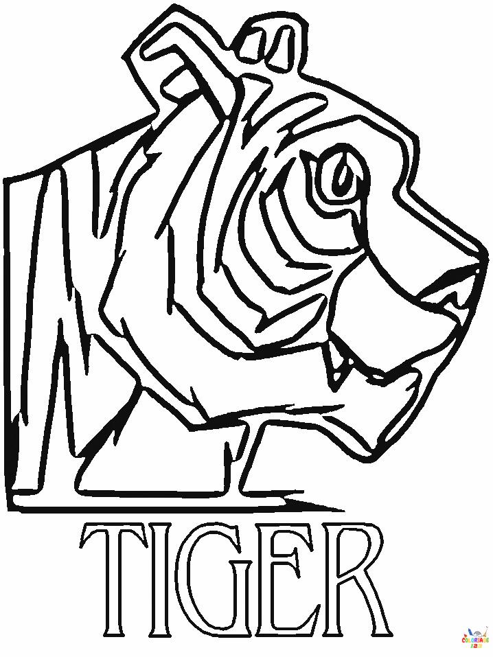 Tigre 28