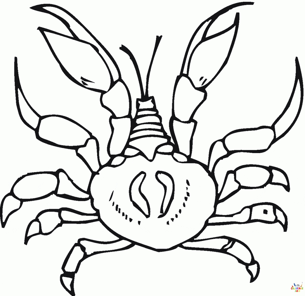 Crabe 1