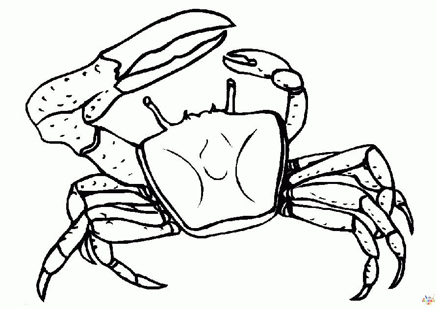 Crabe 3