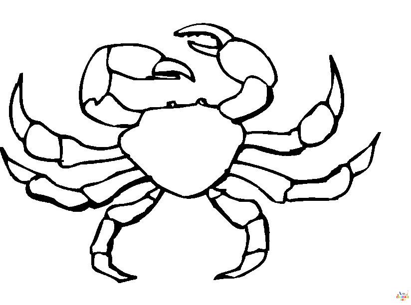 Crabe 4