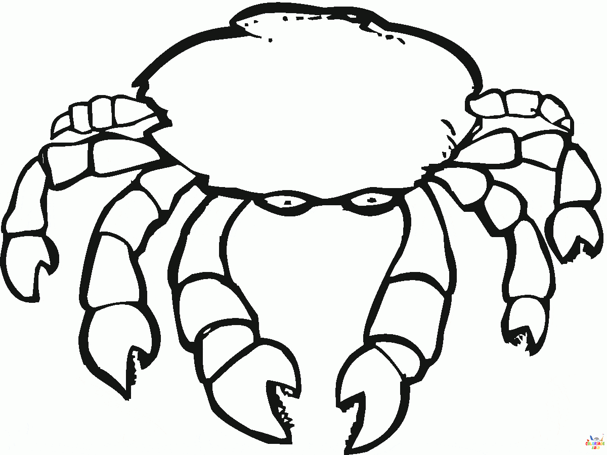 Crabe 5