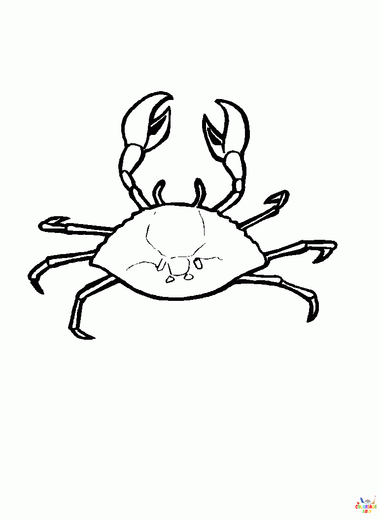 Crabe 7