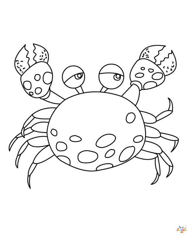 Crabe 8