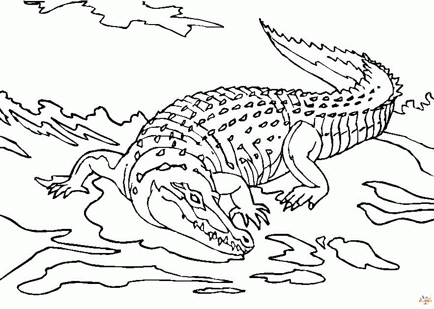 Crocodile (4)