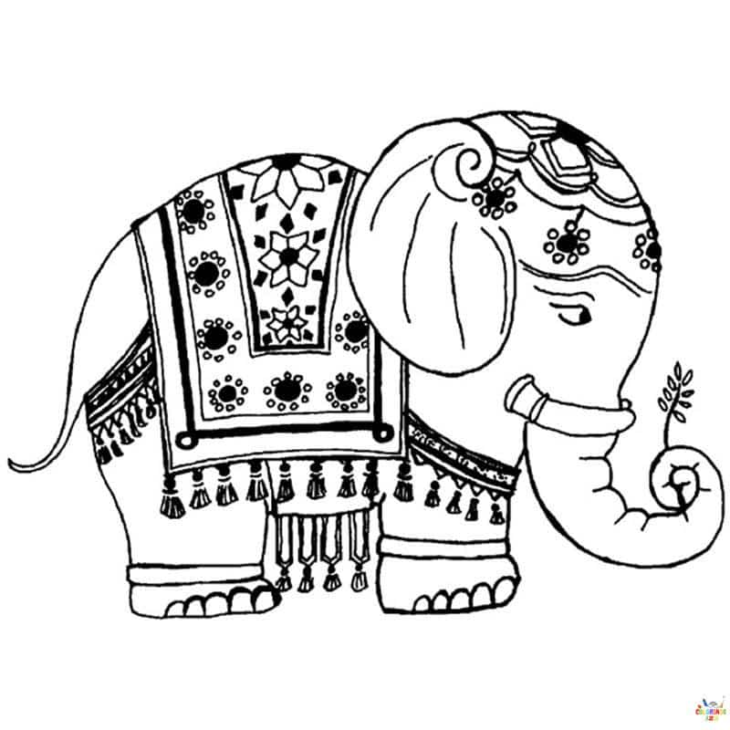 Elephant03