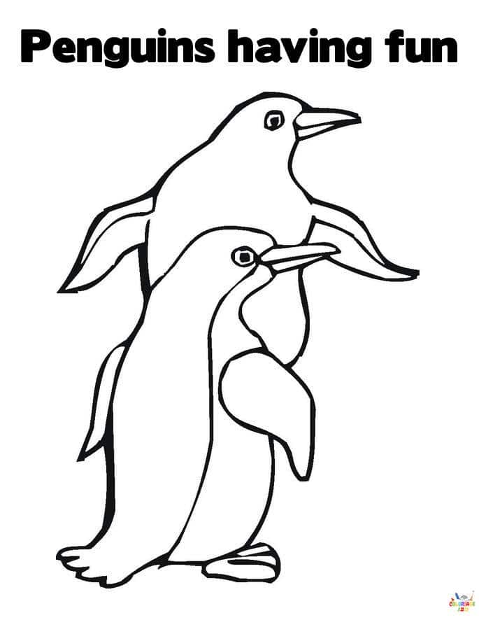 Pingouin (2)