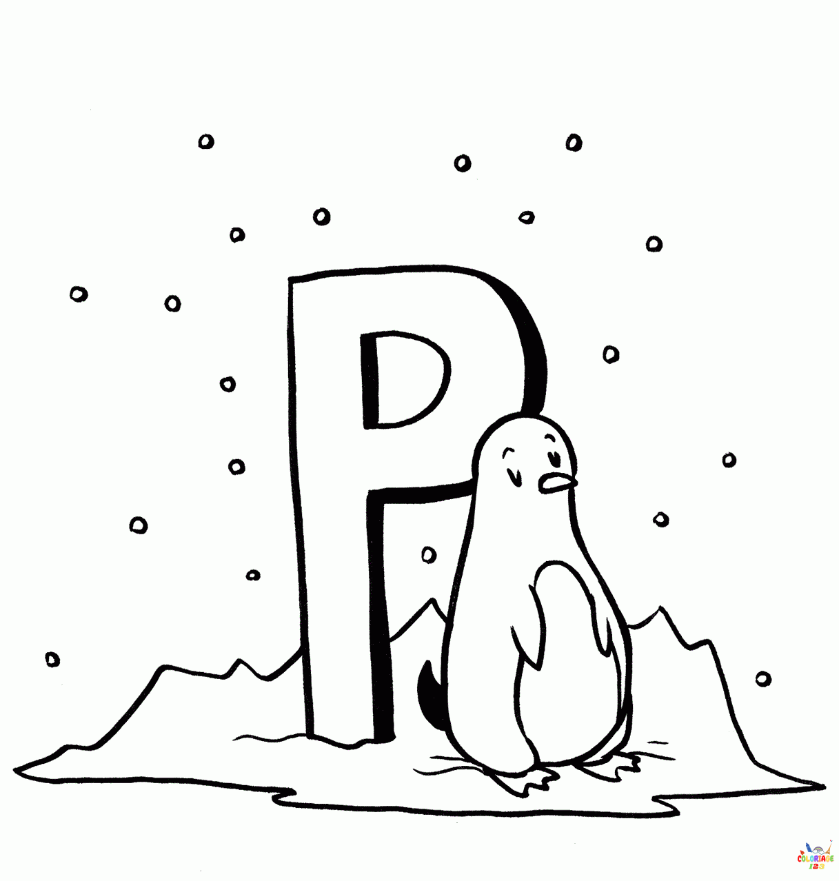 Pingouin (4)