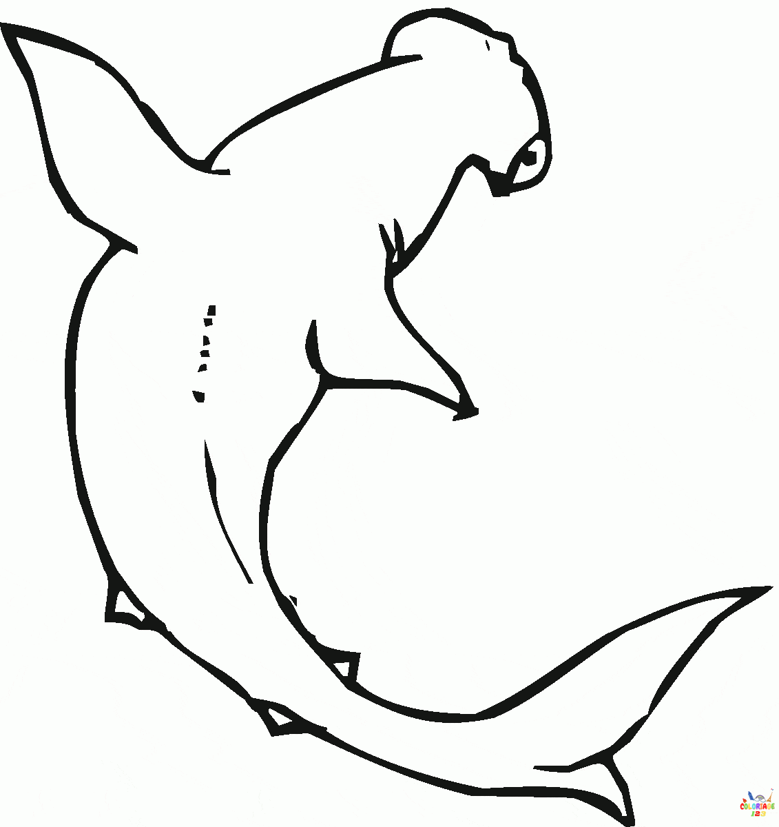 requin (1)